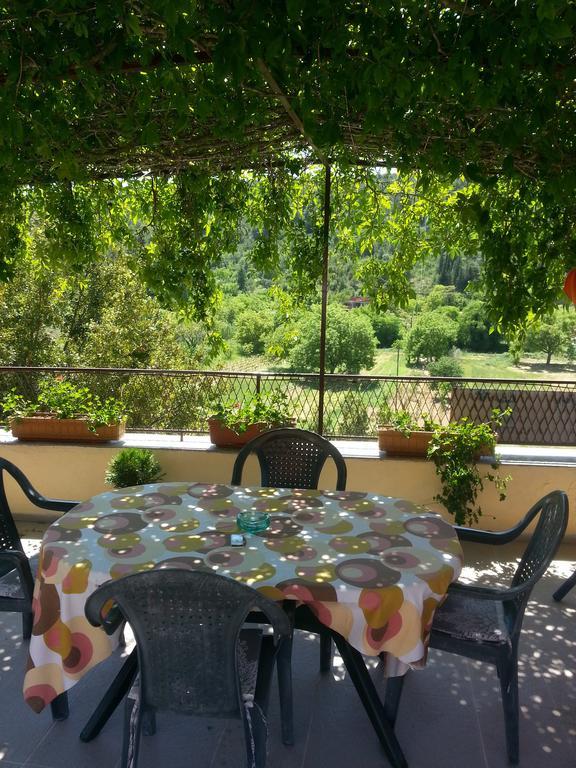 Apartments Darinka Skradin Ruang foto